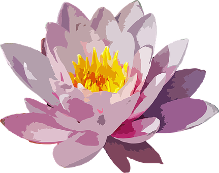 Vibrant_ Water_ Lily_ Illustration.png