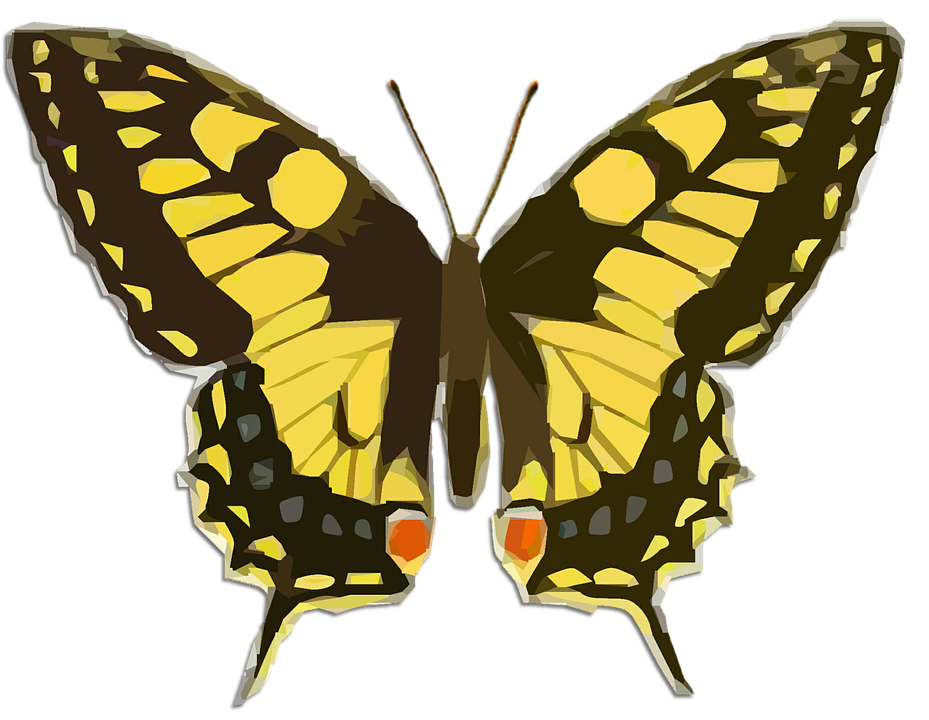 Vibrant Yellow Butterfly Illustration