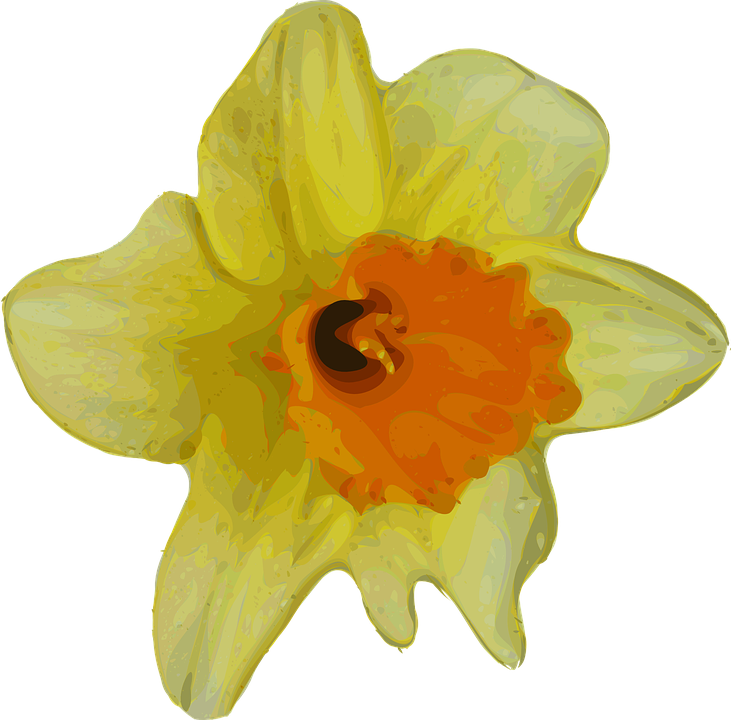 Vibrant Yellow Daffodil Illustration