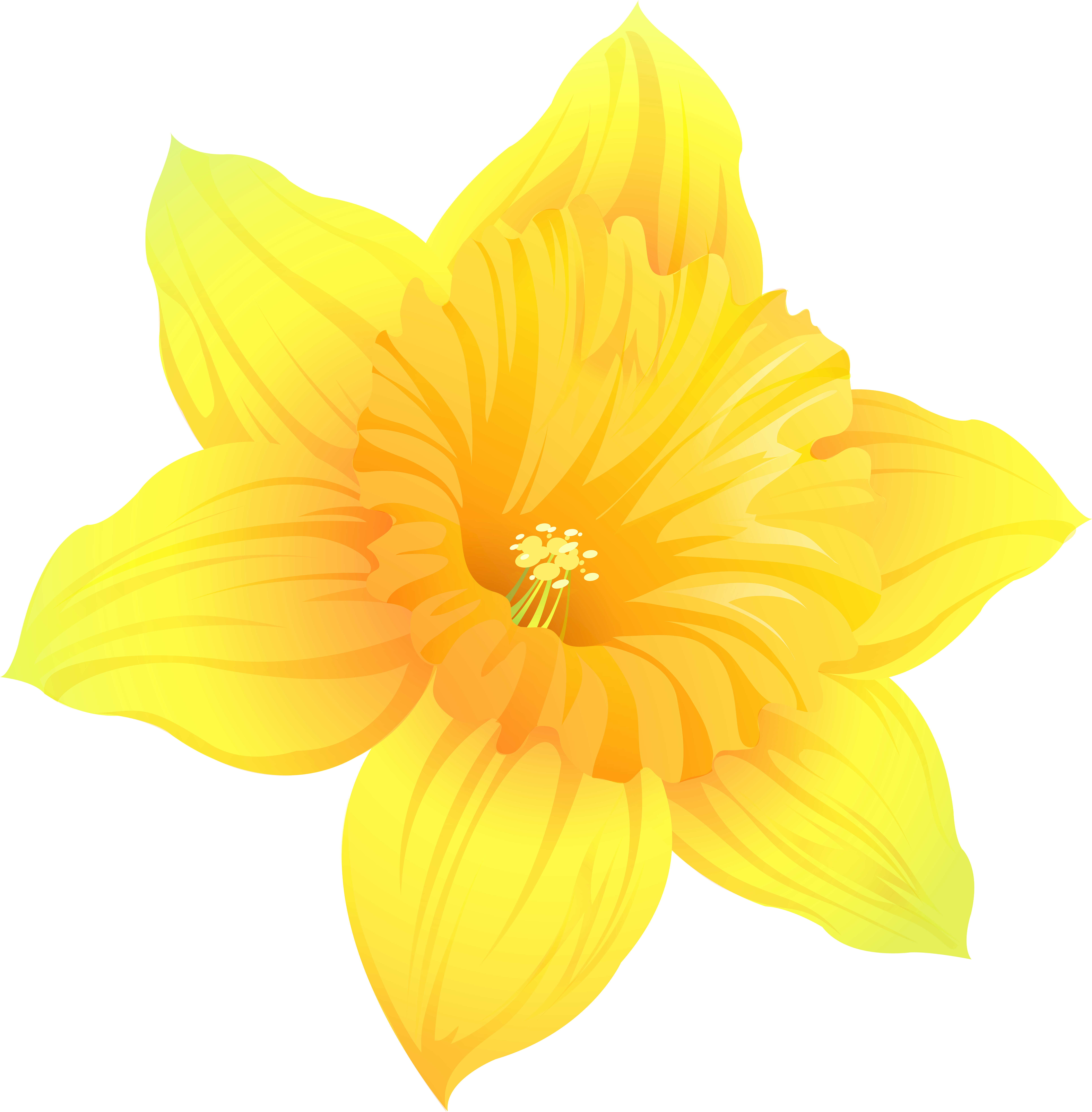 Daffodil Png , Png Download, Transparent Png PNG with transparent background