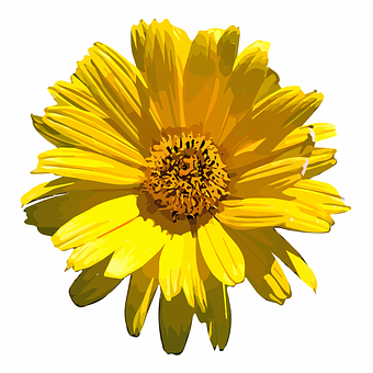 Vibrant Yellow Flower Illustration PNG with transparent background