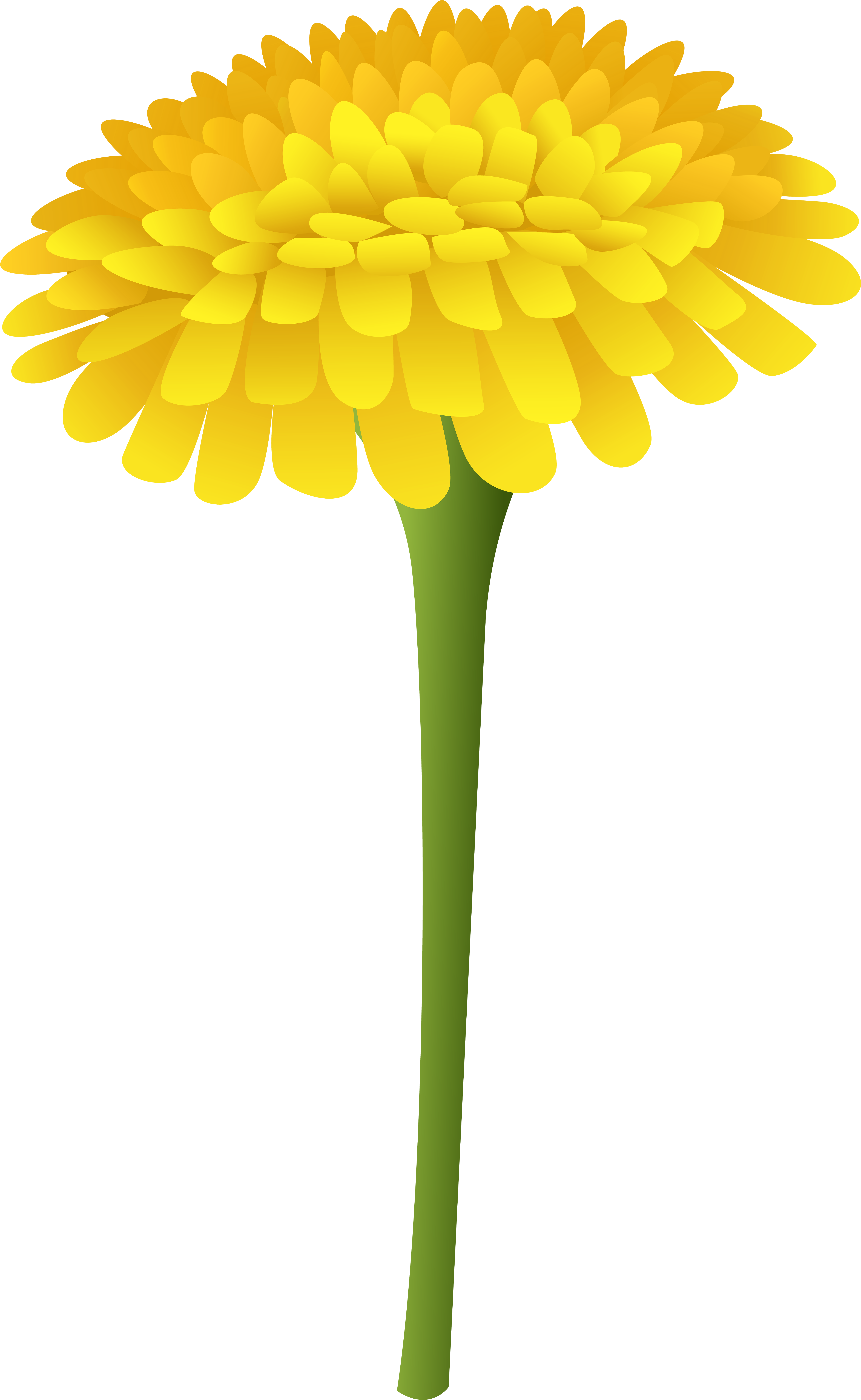 Transparent Wildflower Png - Dandelion Clipart Png, Png Download PNG with transparent background