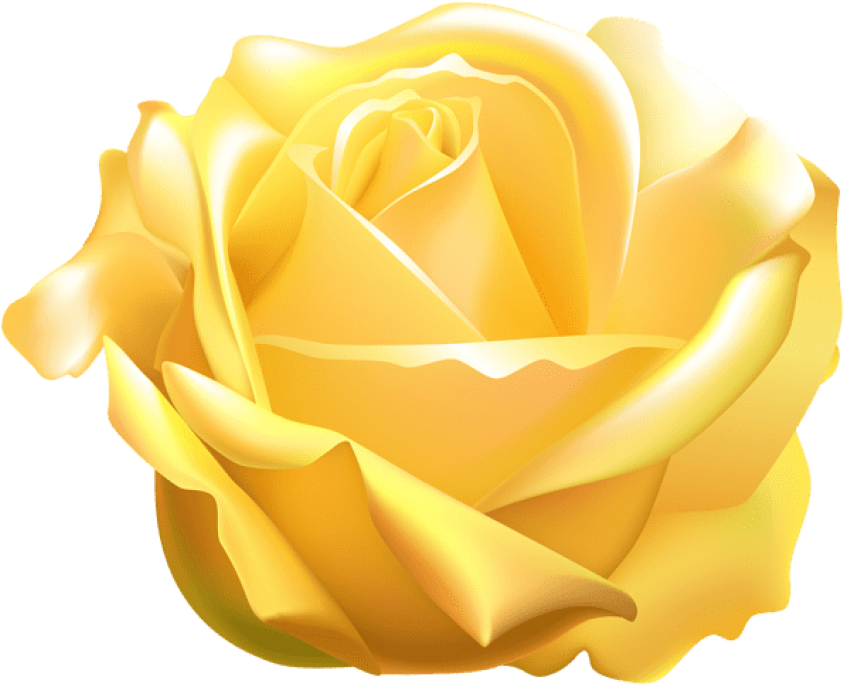 Vibrant Yellow Rose Illustration