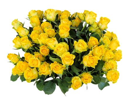 Vibrant Yellow Roses Bouquet PNG with transparent background