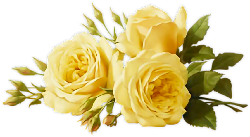 Vibrant Yellow Roses Bouquet