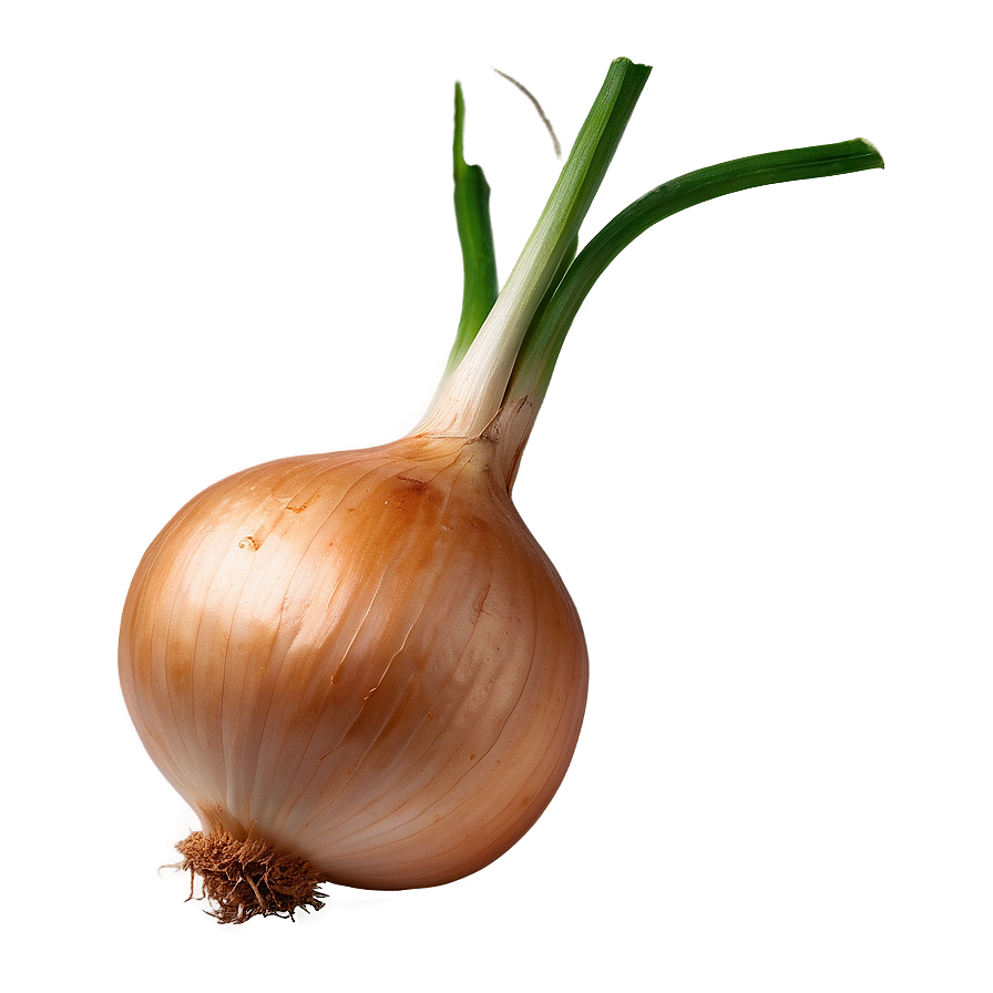 Vidalia Onion Png 06122024