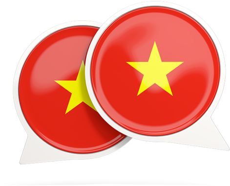 Vietnamese Flag Badge Graphic