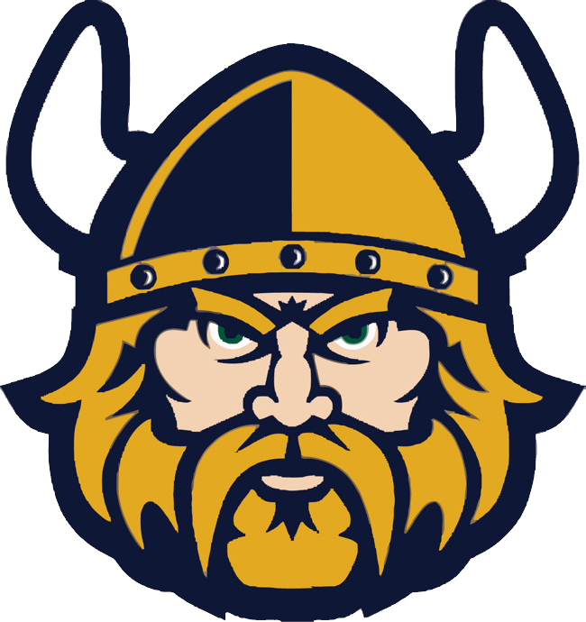 Viking Face Close Up - Cleveland State Vikings, HD Png Download PNG with transparent background