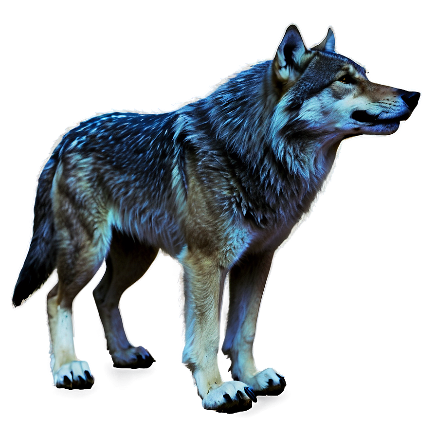 Viking Wolf Png 06202024