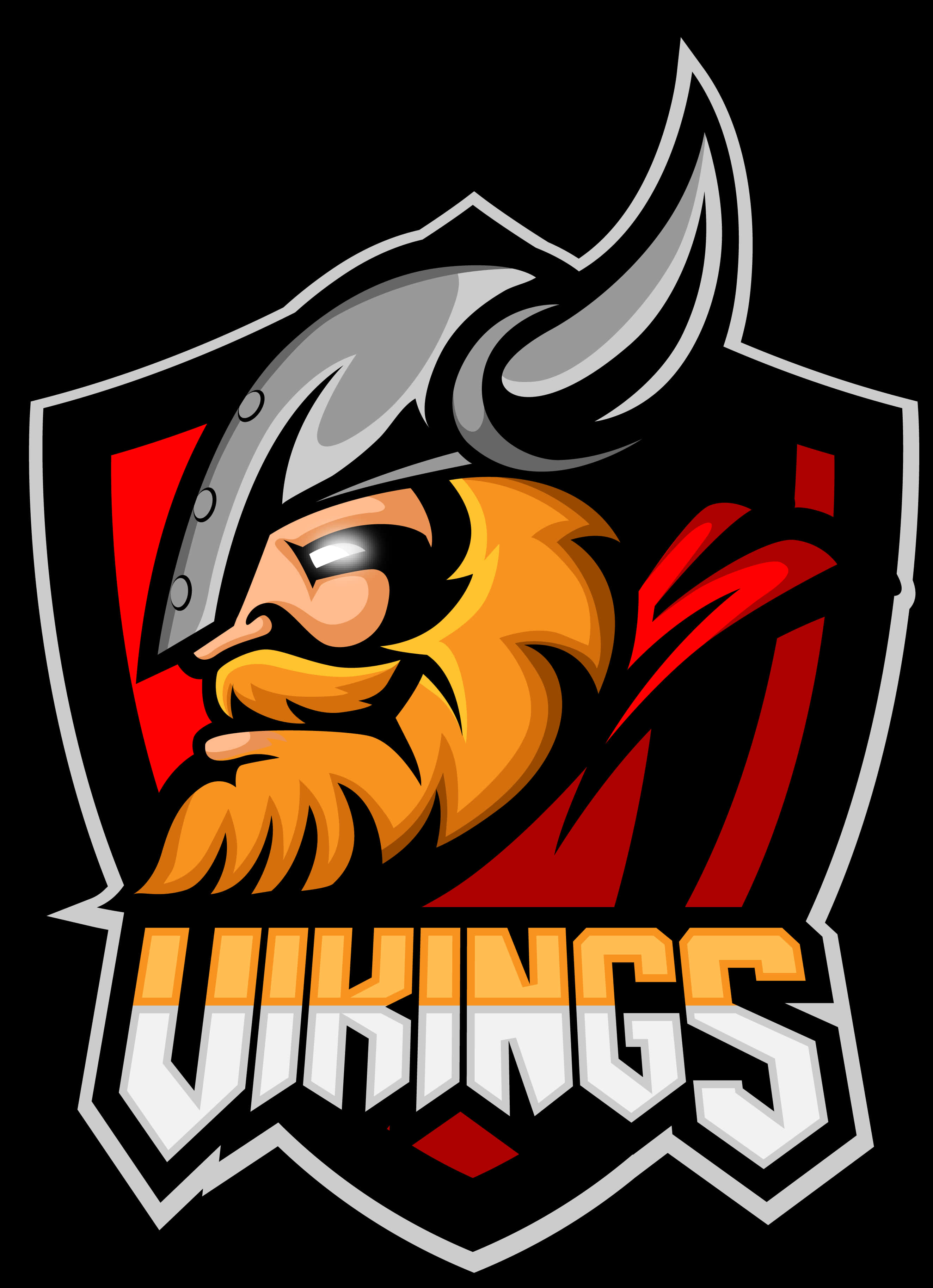 Vikings Team Logo