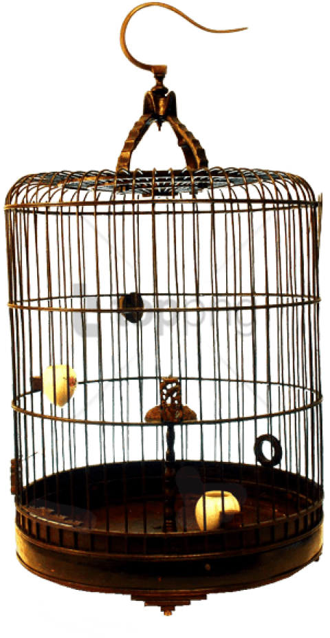 Vintage Bird Cage