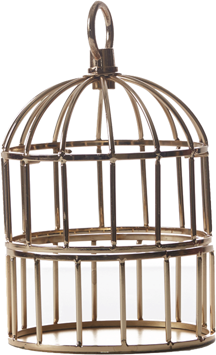 Cage Png Hd Wallpaper - Cage, Transparent Png PNG with transparent background