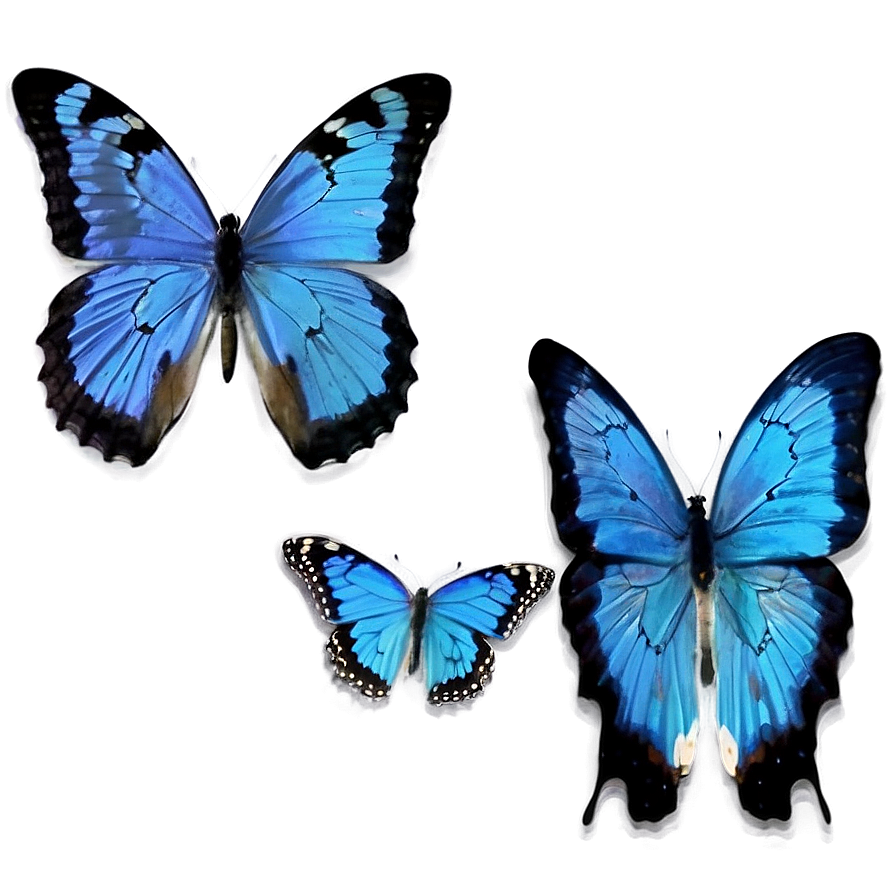 Vintage Blue Butterflies Png Thu37