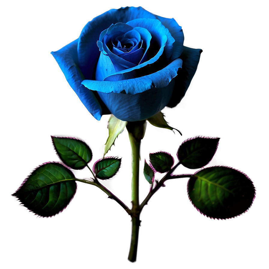 Vintage Blue Rose Png 06202024