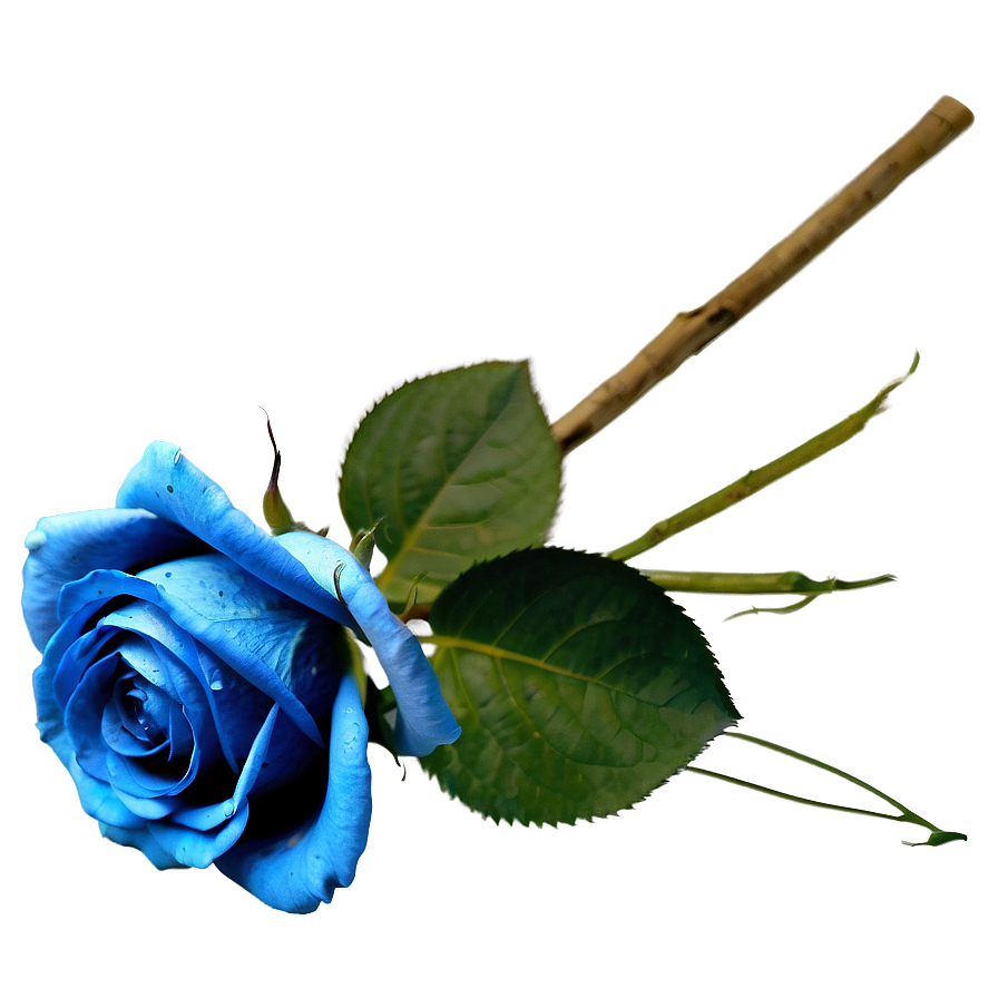 Vintage Blue Rose Png Vtt