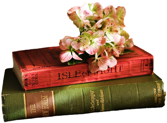 Vintage Bookswith Flowers