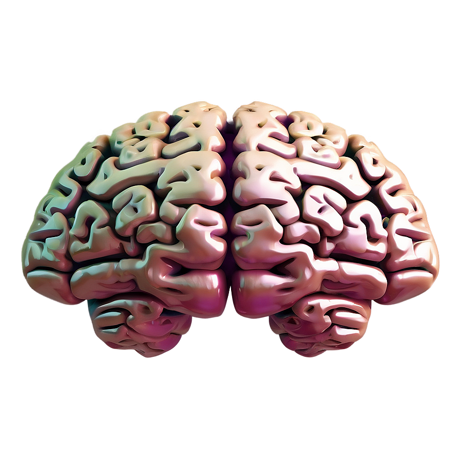 Vintage Brain Illustration Png 04292024