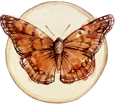 Vintage Butterfly Illustration PNG with transparent background