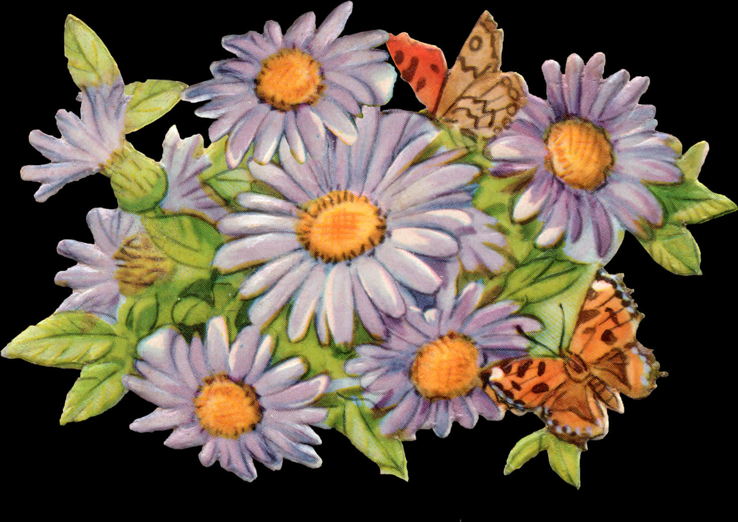 Vintage Daisiesand Butterflies