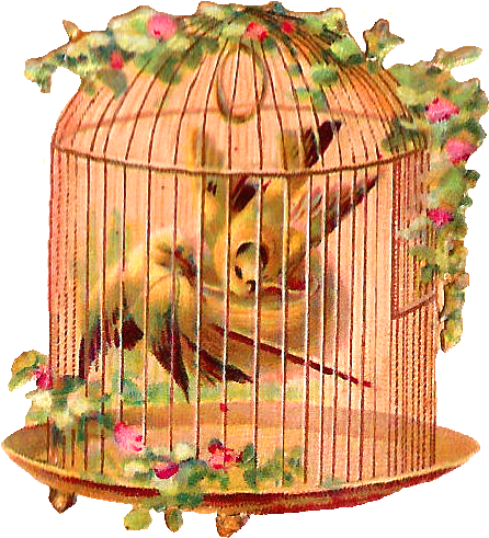 Bird Cage Birds Flowers, HD Png Download PNG with transparent background