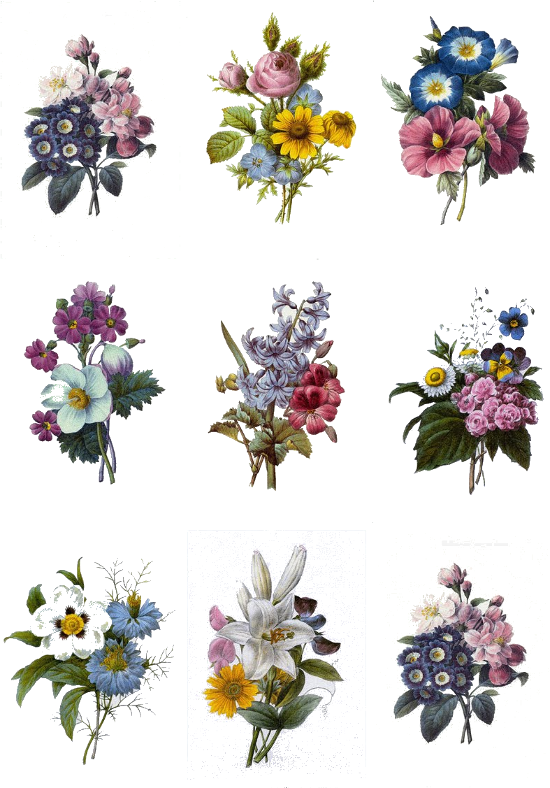 Colorful Flower Tattoo Designs, HD Png Download PNG with transparent background