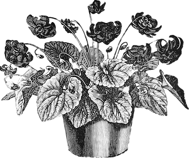 Vintage Floral Pot Illustration PNG image with a transparent background, free high-resolution download