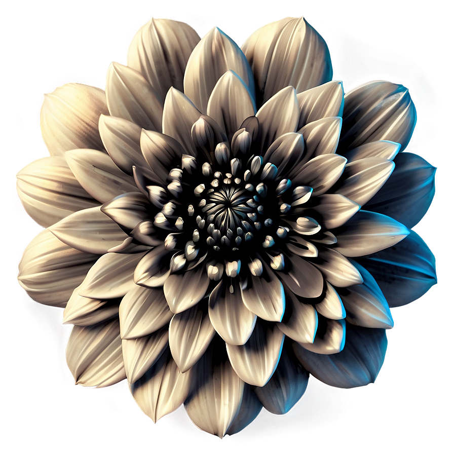 Vintage Flower Black and White PNG 05252024 896x896 PNG image with a transparent background, free high-resolution download