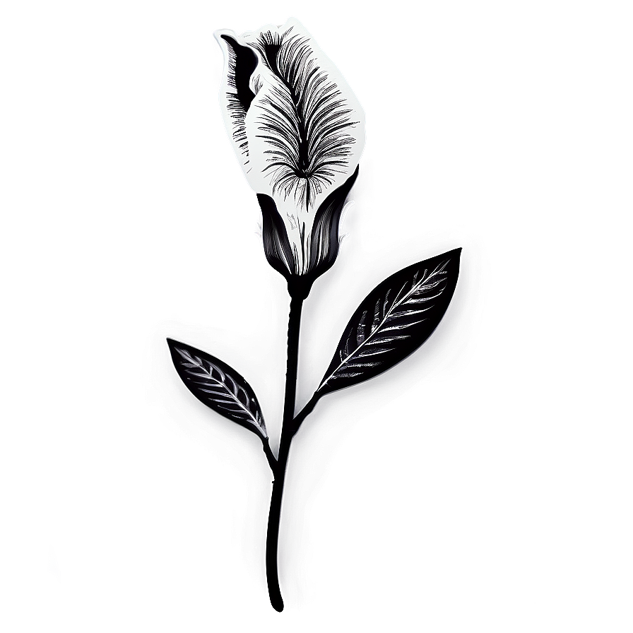 Vintage Flower Black and White PNG 05252024 PNG image with a transparent background, free high-resolution download