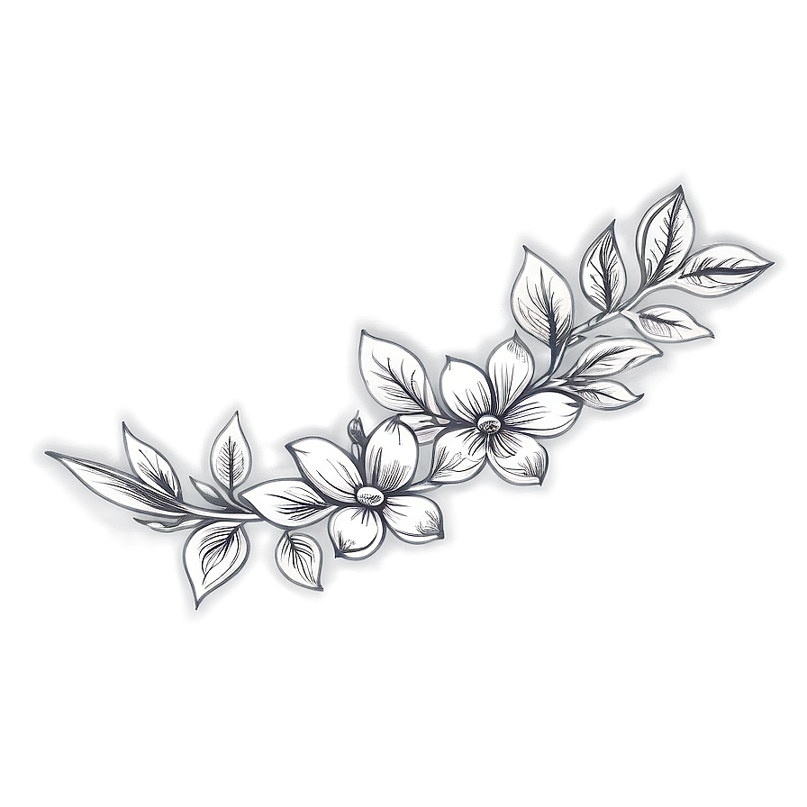 Vintage Flower Sketch Png 06272024