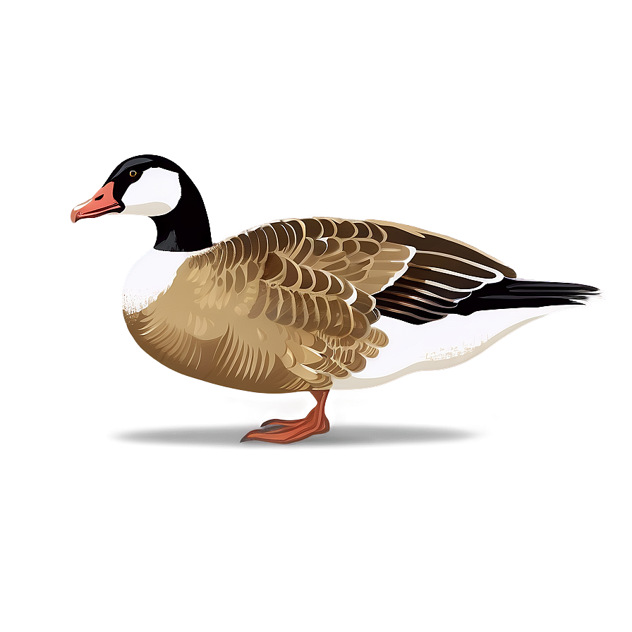 Vintage Goose Illustration Png 06112024