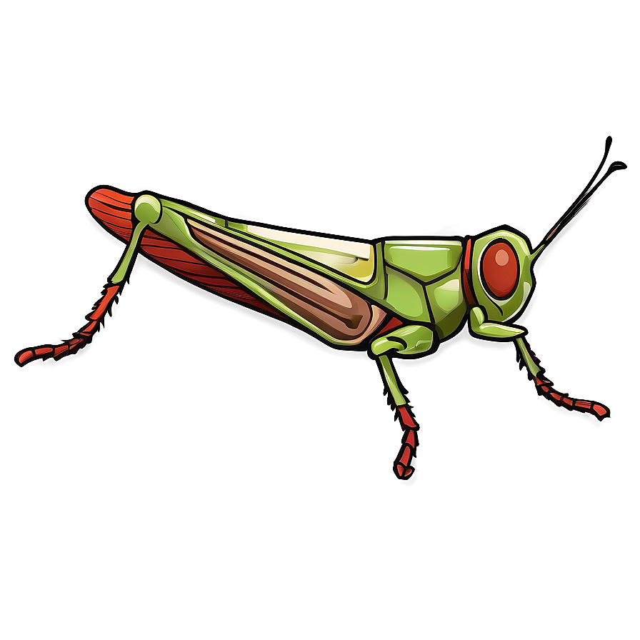 Vintage Grasshopper Illustration Png Nrw87