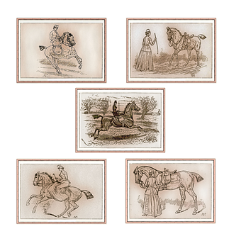 Vintage Horse Illustrations Collage PNG with transparent background