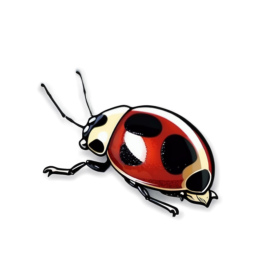 Vintage Ladybug Drawing Png Rae