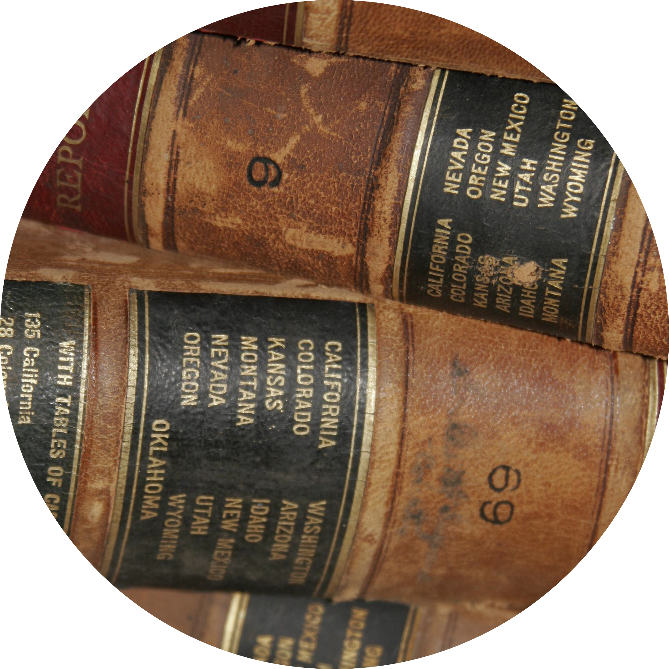 Transparent Professionals Png - Plywood, Png Download PNG with transparent background