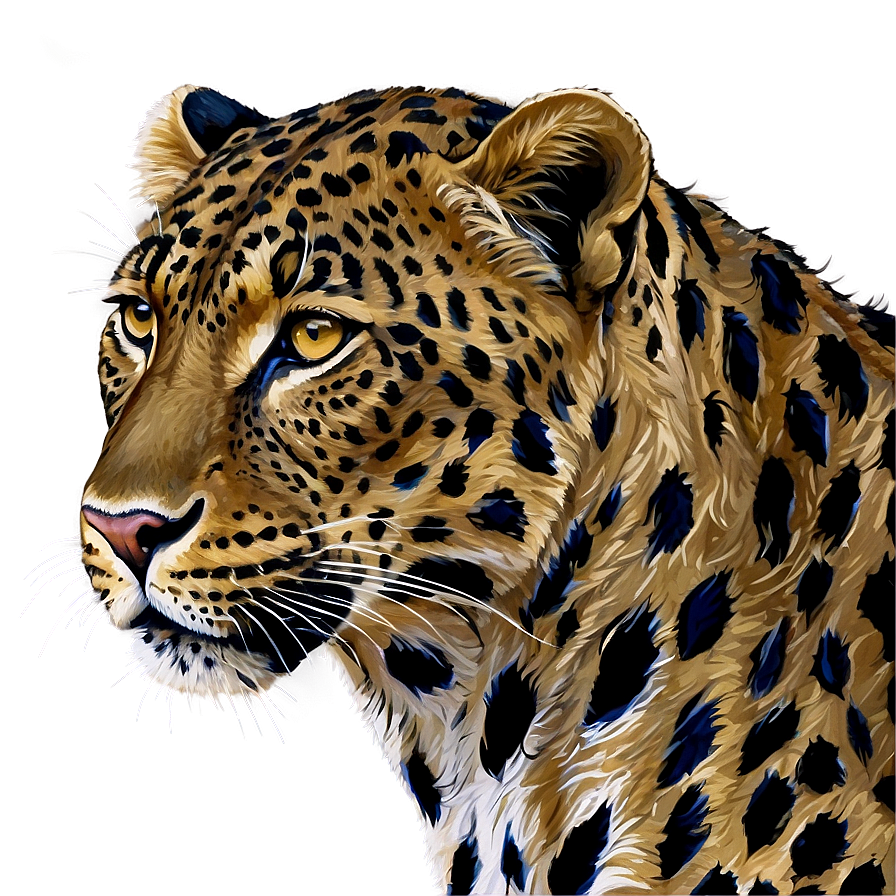 Vintage Leopard Drawing Png 12