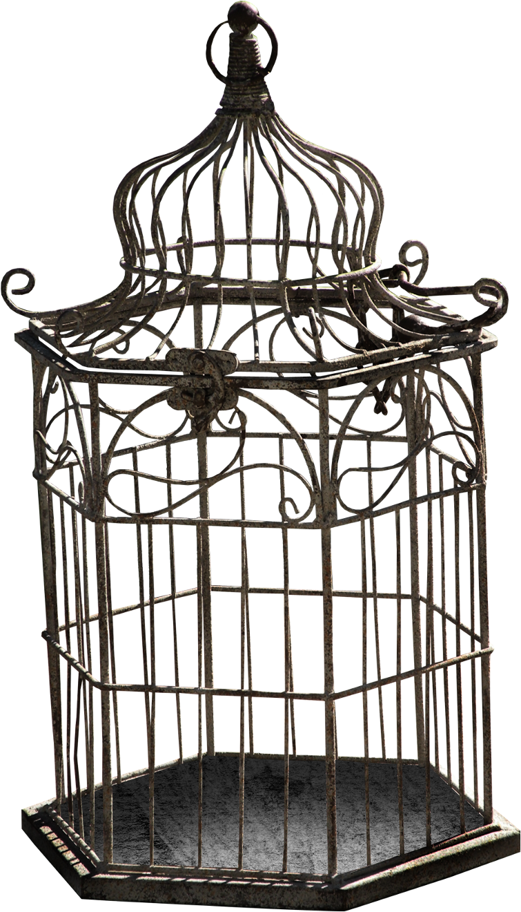 Vintage Ornate Birdcage