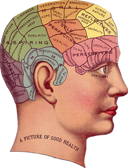 Vintage Phrenology Head Illustration