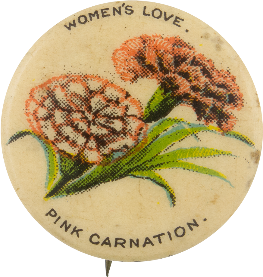 Women's Love Pink Carnation Advertising Button Museum - Cross-stitch, HD Png Download PNG with transparent background