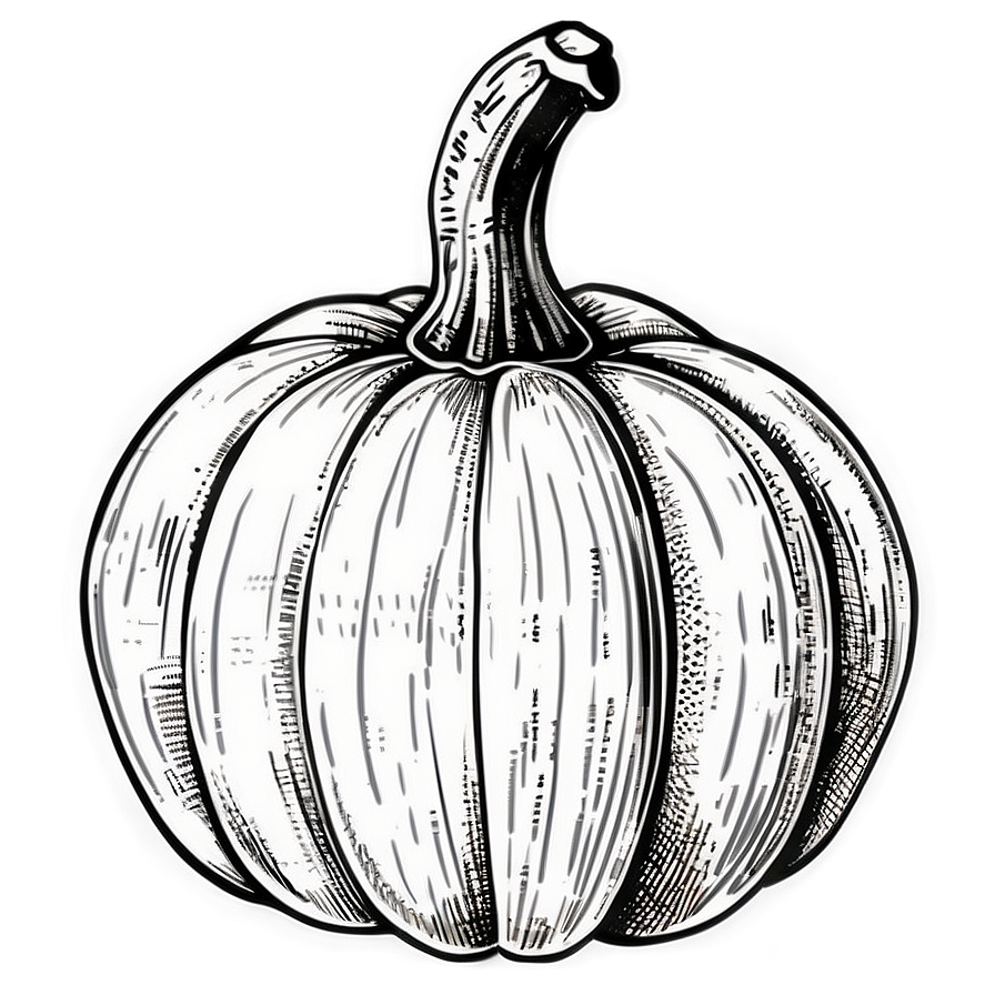 Vintage Pumpkin Outline Picture PNG 06202024 PNG image with a transparent background, free high-resolution download