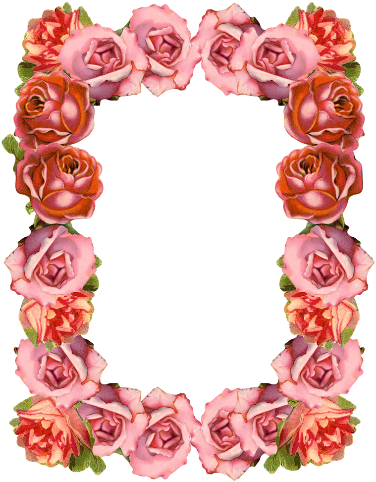 Vintage Rose Floral Border