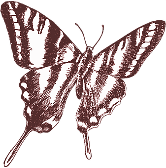Vintage Style Butterfly Illustration PNG with transparent background