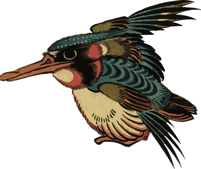 Vintage Styled Kingfisher Illustration