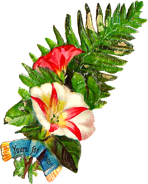 Free Flower Clip Art - Clip Art Images Of Flower Buke, HD Png Download PNG with transparent background