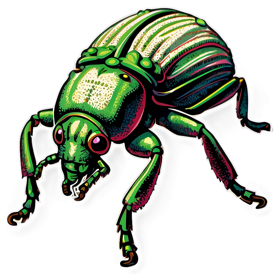 Vintage Weevil Illustration Png 95