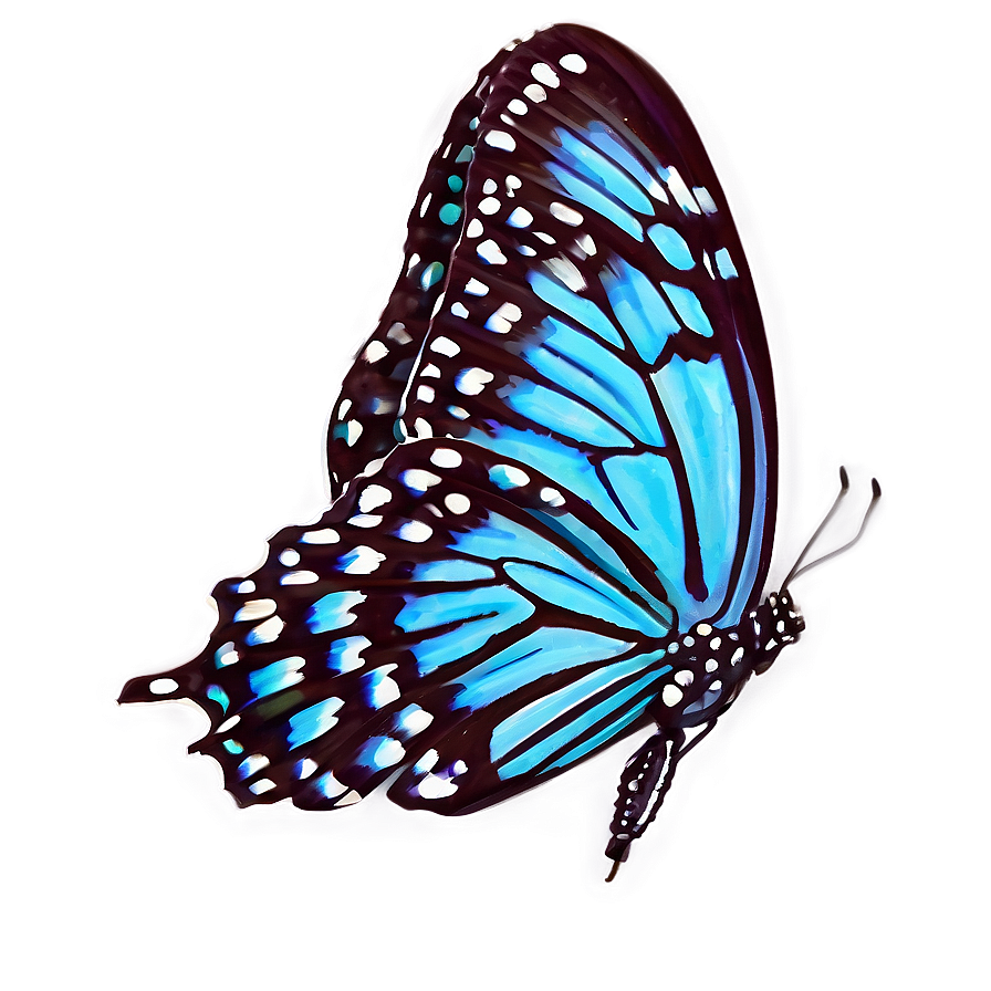 Violet Monarch Butterfly Png Phn5