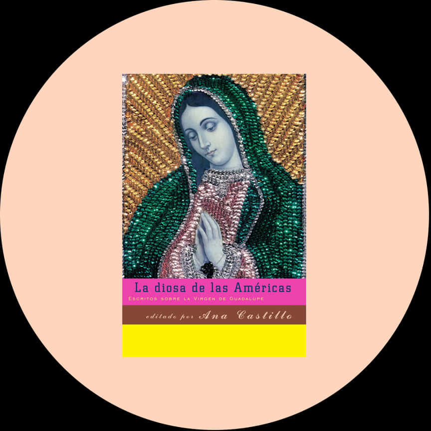 Virgen De Guadalupe Book Cover