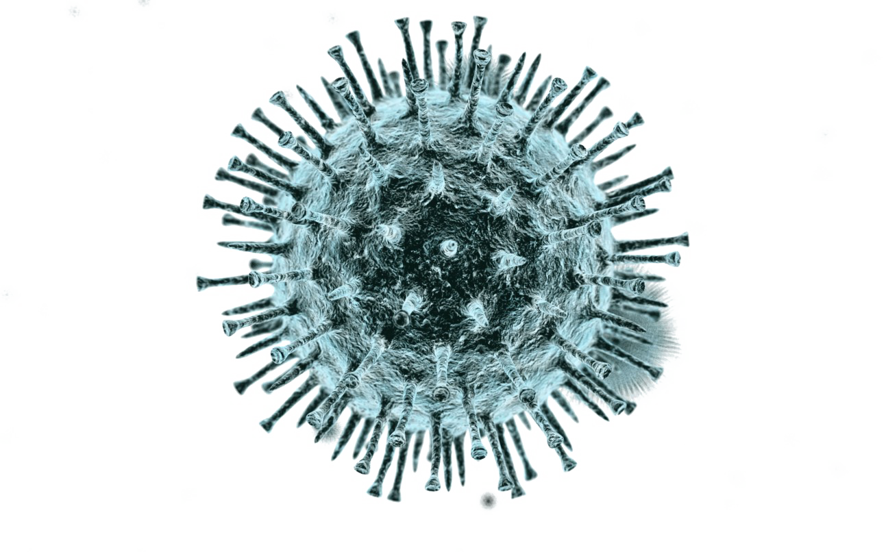 Virus PNG Photo PNG with transparent background