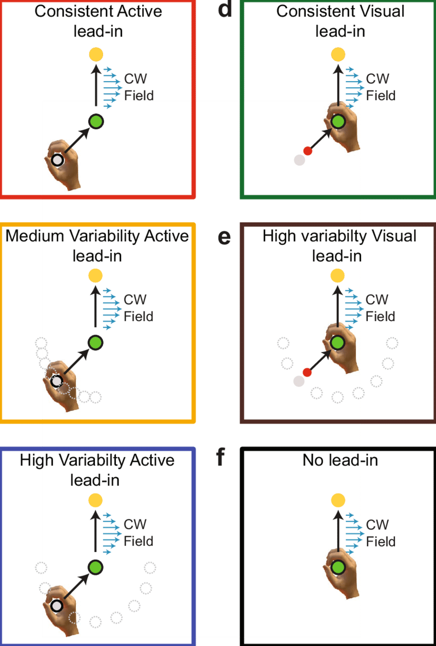 Experimental Paradigm In Which The Effects Of Sensorimotor - Diagram PNG image with a transparent background, free high-resolution download