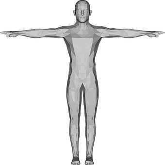 Vitruvian Man3 D Model