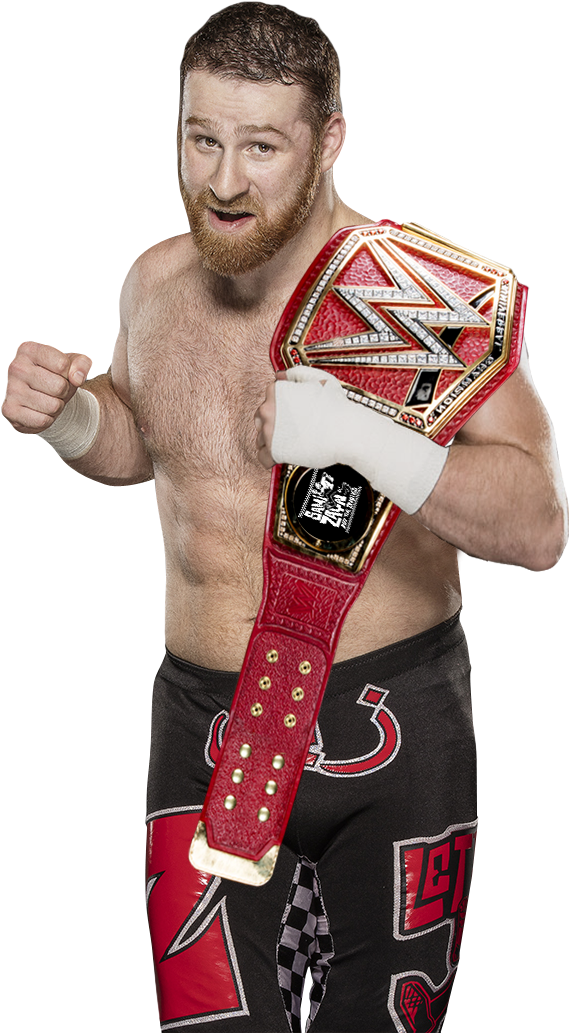 W W E Champion With Red Belt